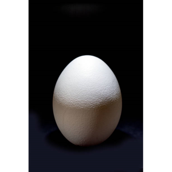 just egg