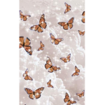 Nic’s butterflies