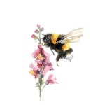 Honeybee's_clothing store