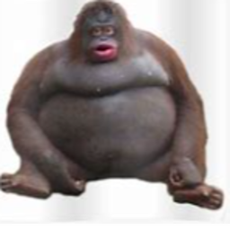 Monkey Mcdonalds