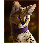 The Serval animal fan club!
