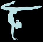 ~Official School of Gymnastics and Acrobatics~