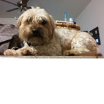 R.I.P kiko