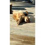 Fun un the sun