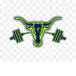 Tanner Fitness