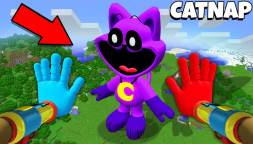 CatNap