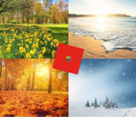 Seasonal’s