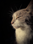 Hello_647