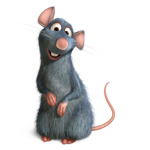 ZE Rat club