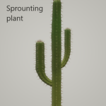 SproutingPlant