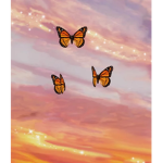 Elisha’s butterfly’s <3