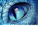 .+{Dragon Eye Studios}+.