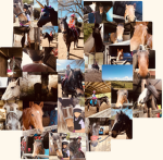 Ponies and Rainbows updates
