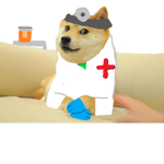 Doge's Medical Team