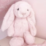 ʚ~jellycats~ɞ