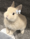 귀엽미 모엽라!!!!!!!