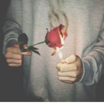 da rose