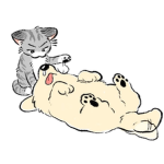 Pawtastic UGC