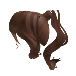 Curly Brown Hair