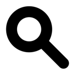 Search Games