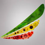 =Ethiopian Airlines=
