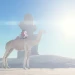 camel racing icon
