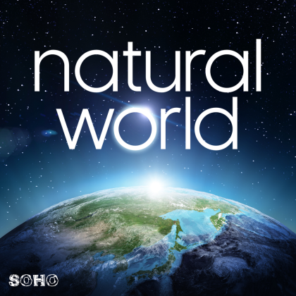 Animal Magic Roblox music