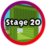 Stage 20