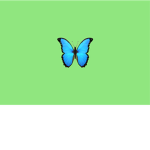 Butterflyqueens/king