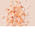 SALTY SAMMIE