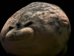 grinfr