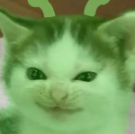 #Greenfans
