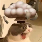 Tank Lover :)