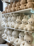 Pluvshies