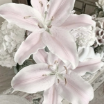 bouquet Group Thumbnail