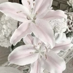 bouquet Group Thumbnail