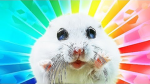 alfs