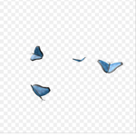 The BluesCluesButterflies