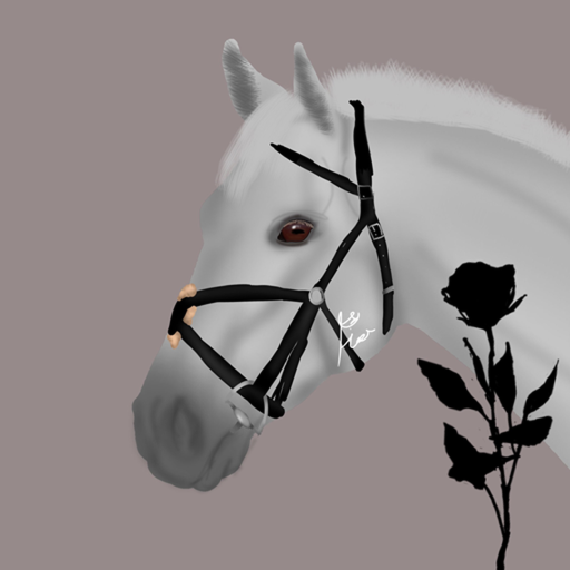 Roses Hill Racing
