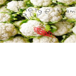 vegetable mergers