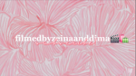 MM2.ZainaDimaMira