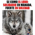 The Wolf Love's