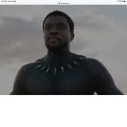 R.I.P. Black Panther