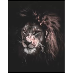 Lion groups