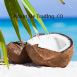 Adopt Me Trading .CO