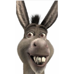 Donkeys United