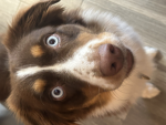 ~ Teefs ~
