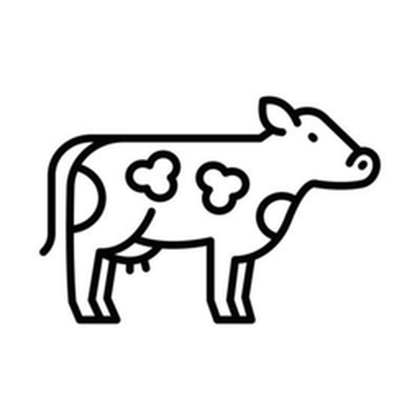 Calf Productions avatar