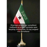 Won flag