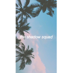 The Shadow Squad |